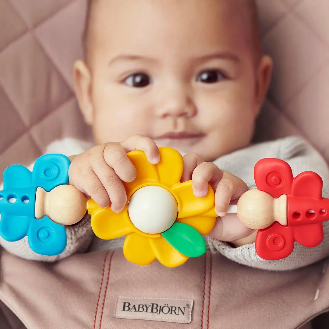 BabyBjorn Bouncer Toy - Flying Friends