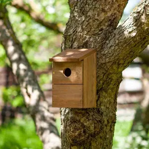 Chapelwood Classic Nest Box