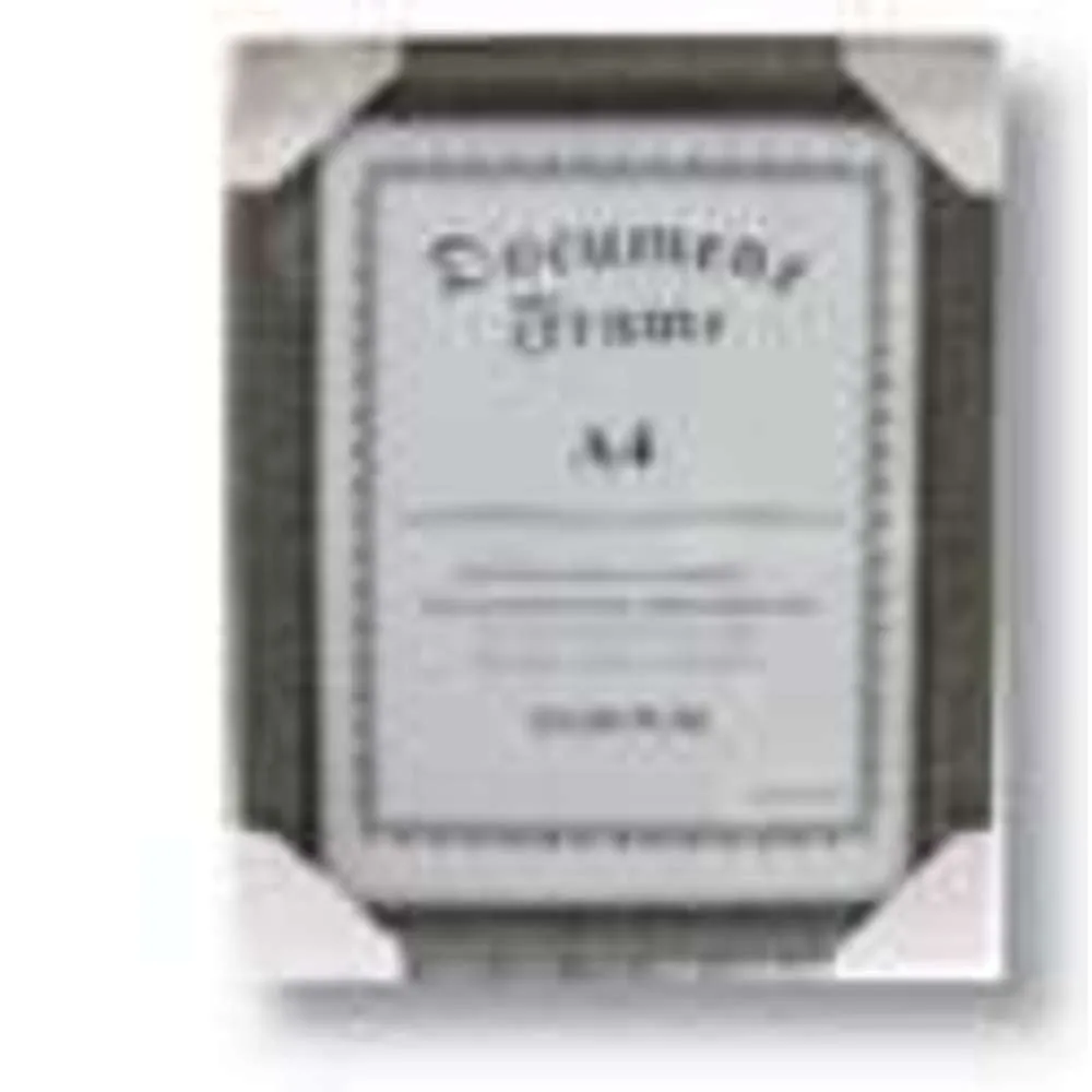 Document Frame A4 #2175/2177