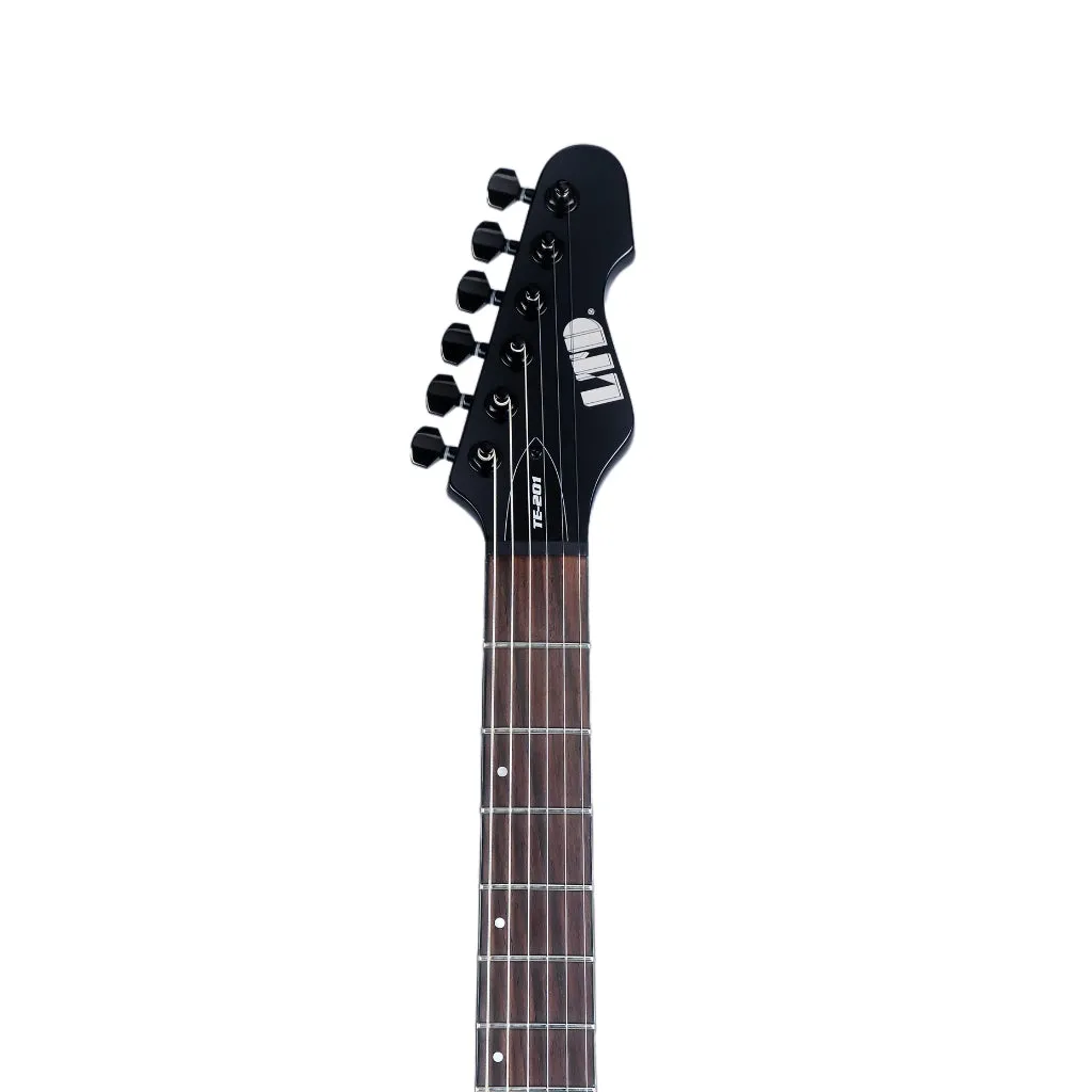 ESP LTD TE-201 Electric Guitar - Gloss Black