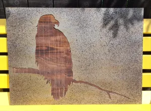 FALCON WALL ART