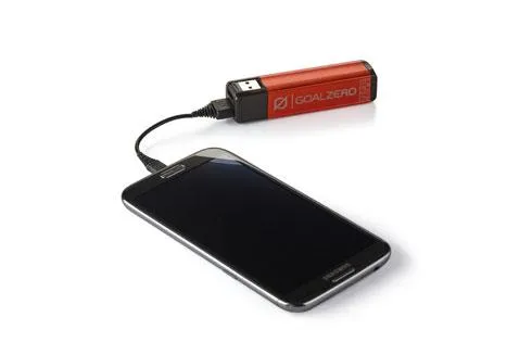 Flip 10 Recharger