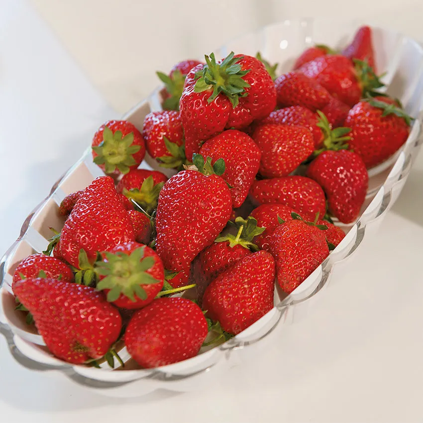 Guzzini | Grace Serving Tray