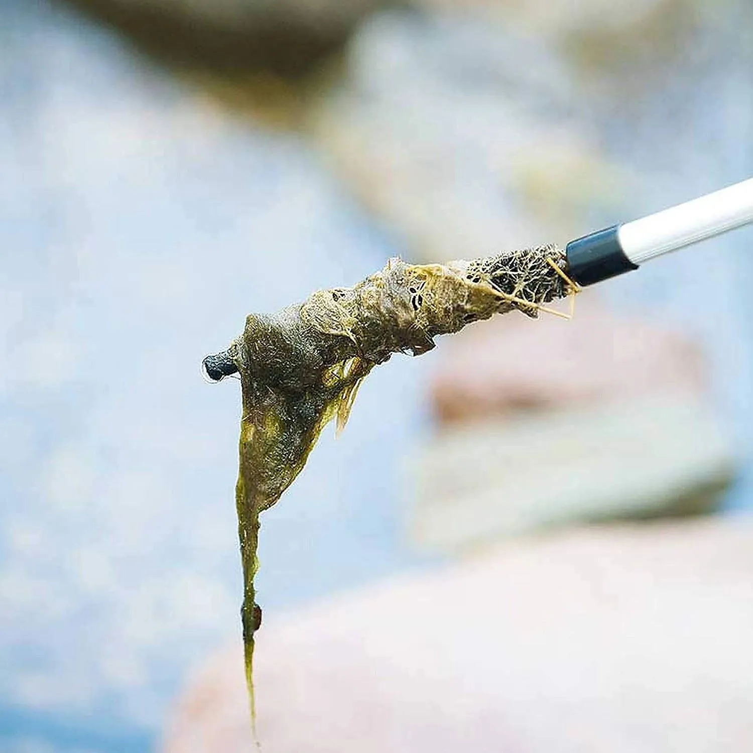Heissner Telescopic Blanketweed Brush