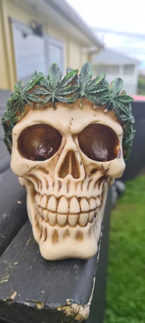 POT SKULL
