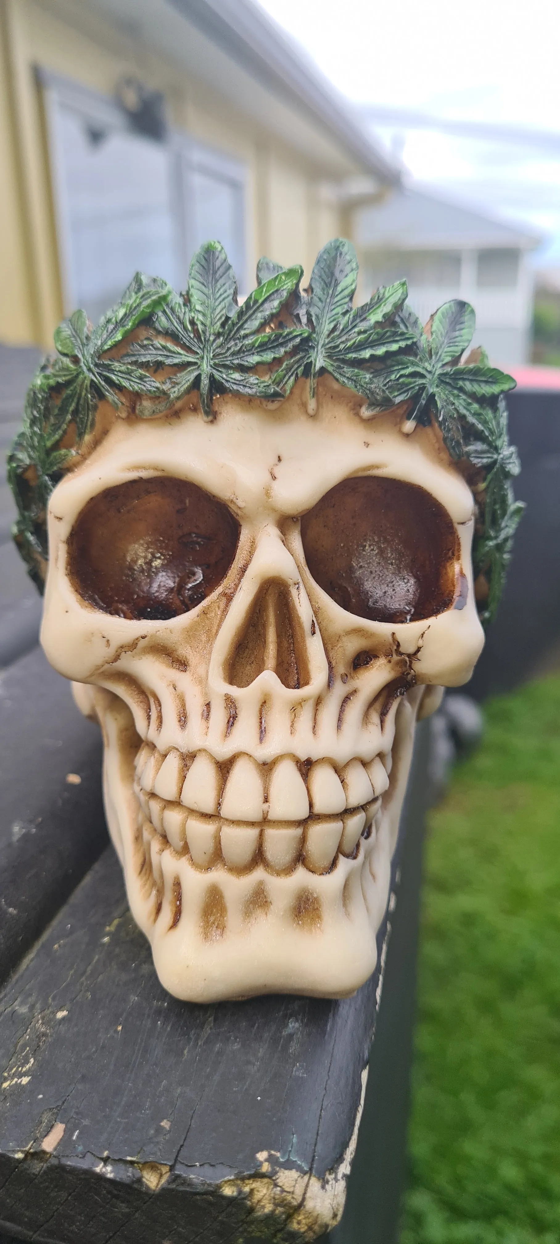 POT SKULL