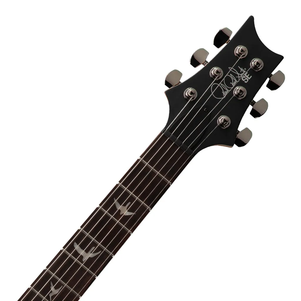 PRS SE CE24 Limited Edition Swamp Ash - Sandblasted Purple