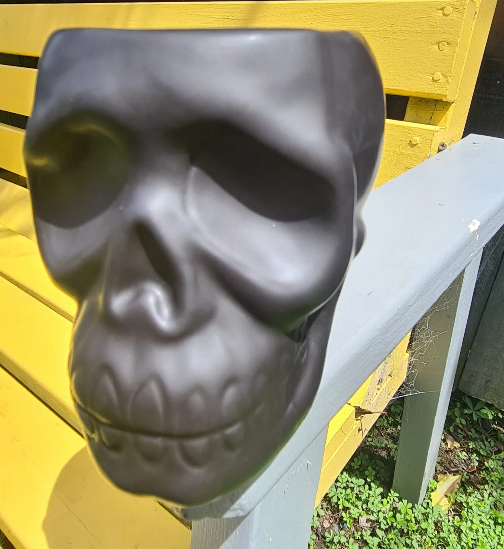 SKULL POT PLANT HOLDER