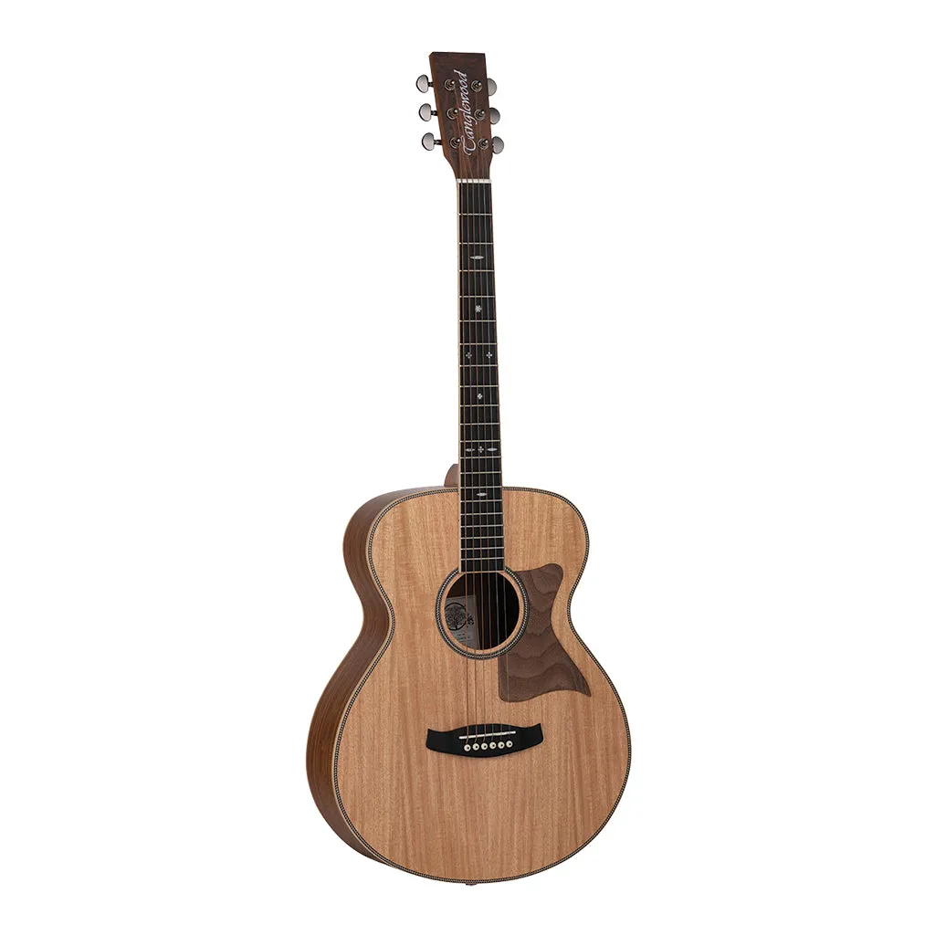 Tanglewood TRU3-HR Reunion Pro Solid Australian Red Cedar Top Folk with Hawaiian Rain Wood Back and Sides