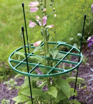 The Good Life Small Plant Support Ring 300mm