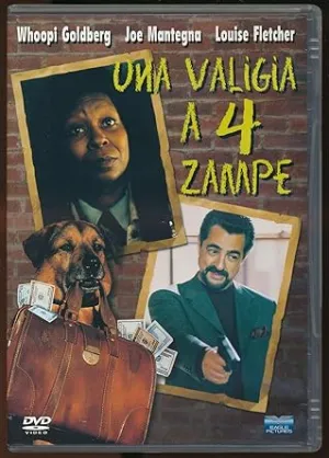 Una Valigia a 4 Zampe
