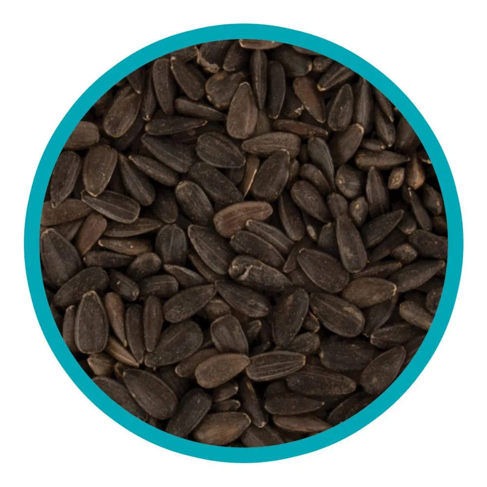 Walter Harrison's Black Sunflower Bird Seed 12.75kg