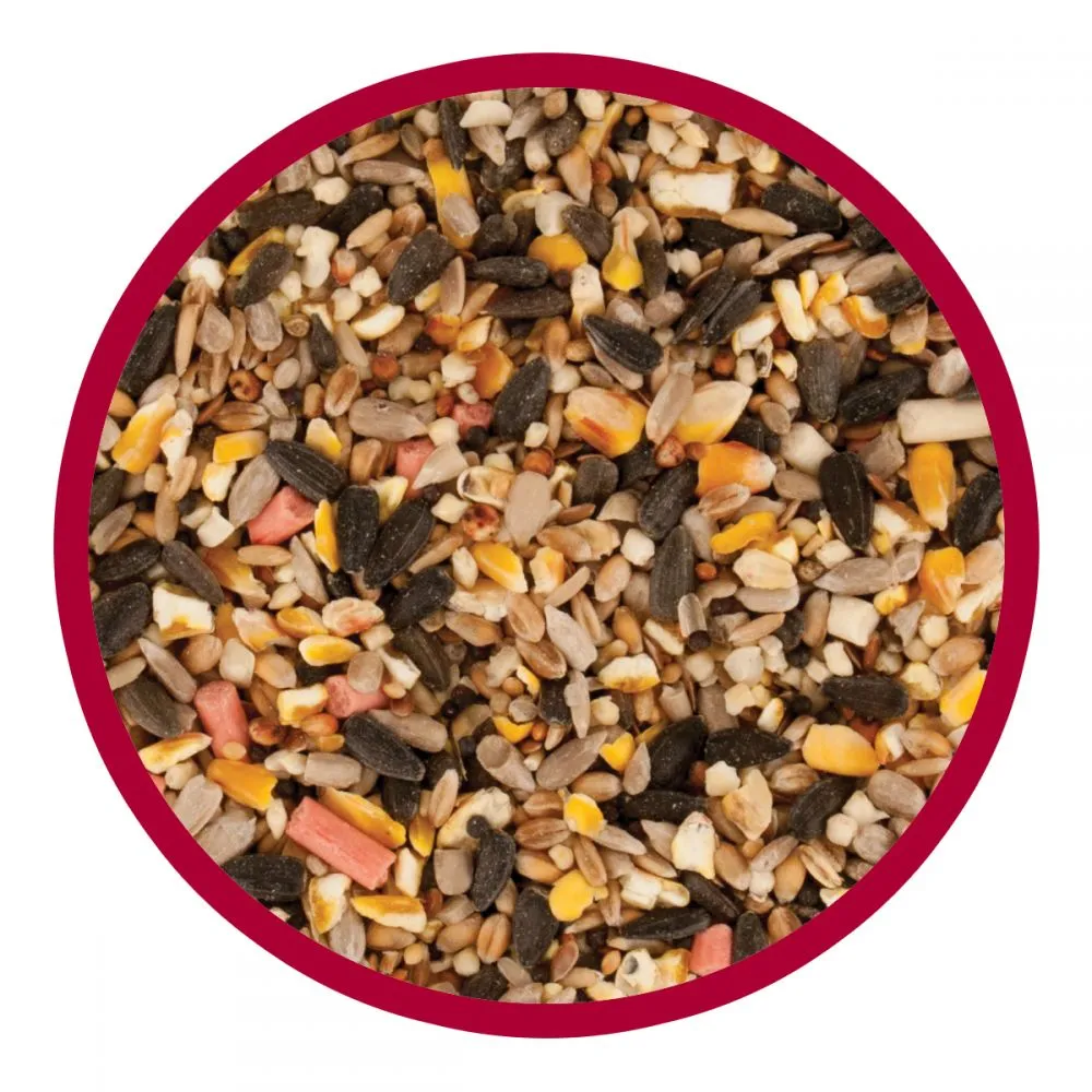 Walter Harrison's Winter & Spring Energy Booster Bird Feed 2kg